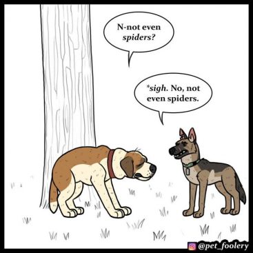 New Funny Comics About Animals By Pet Foolery (5 comics)