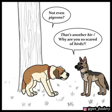 New Funny Comics About Animals By Pet Foolery (5 comics)